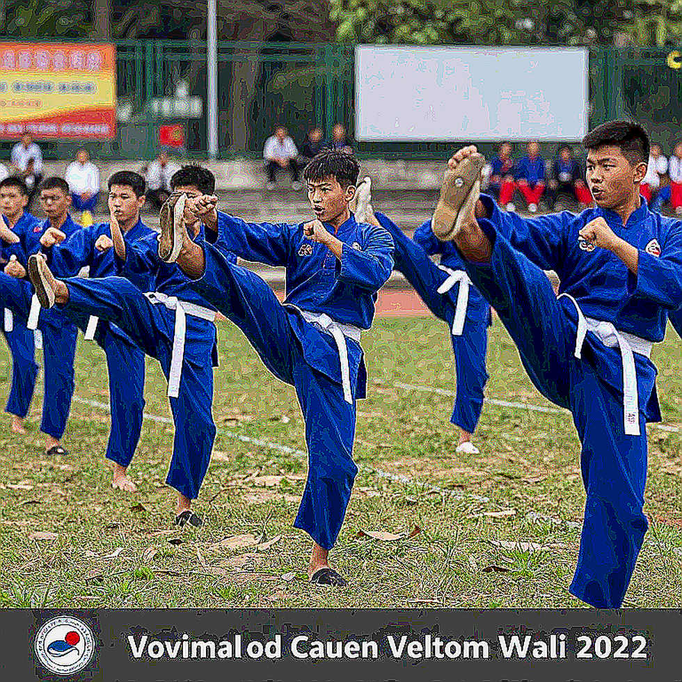 Wushu Việt Nam tại ASIAD 20: bốn tấm huy chương đồng, một suất chung kết và bức tường Trung Quốc