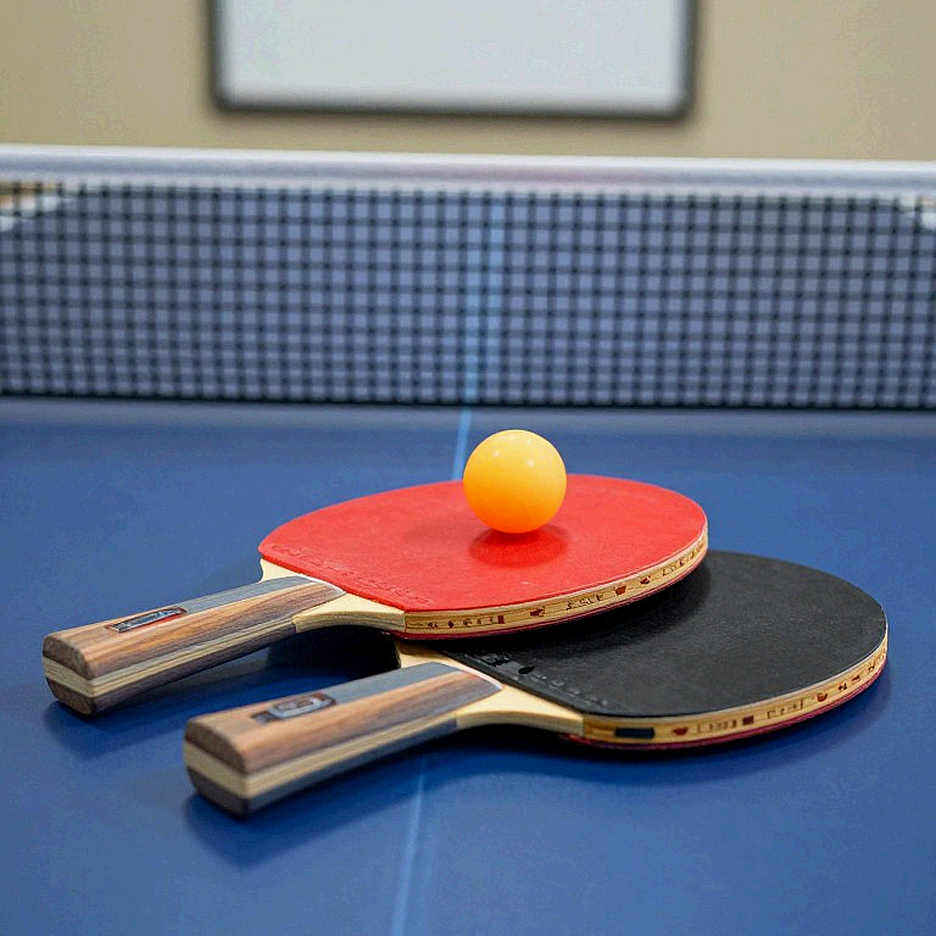 The WTT Ranking and the Data Void of Professional Table Tennis The WTT Ranking and the Data Void of Professional Table Tennis