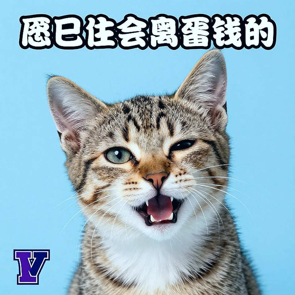 Ba tầng tải trọng: bản đồ chấn thương chưa ai vẽ của võ sĩ Việt