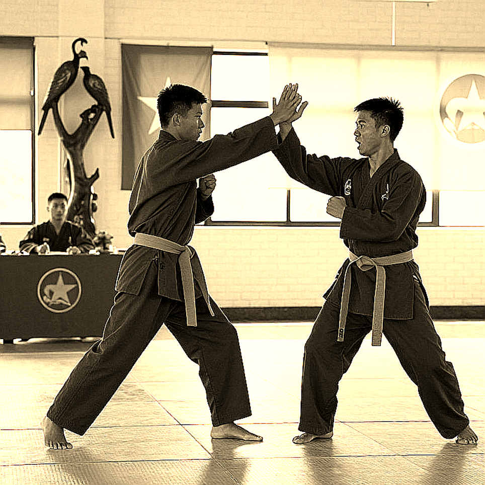 Duong Thuy Vi and Bronze at Asian Games 20: Elite Consistency Masking a Declining Curve Duong Thuy Vi and Bronze at Asian Games 20: Elite Consistency Masking a Declining Curve